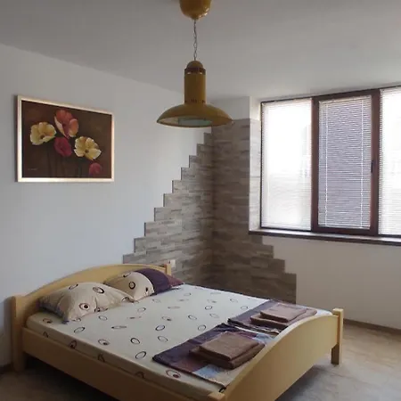 студио софия Apartment *